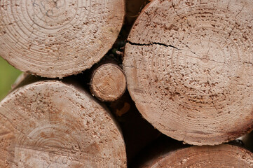 Wall of stacked wood logs as background