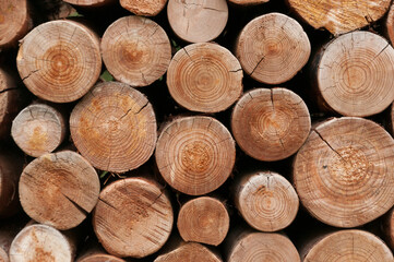 Wall of stacked wood logs as background