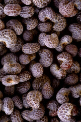 super macro shot of blue puppy seeds  fron Czech Republic very close in details. Ideal food and spice background