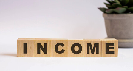 The word INCOME is written on wooden cubes near a flower in a pot on a light background. Business concept