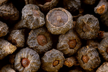 super macro shot of of exotic spice cinnamon dryed flowers from Ceylon in details very close. Ideal food and spice background