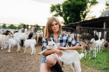 A young pretty girl poses on a ranch with goats and other animals. Agriculture, livestock breeding