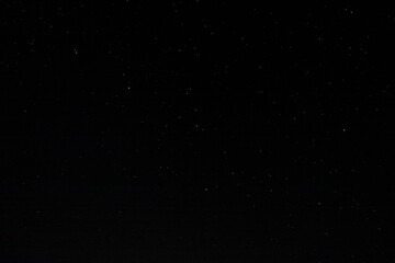 Starry sky and Summer meadow with trees. Summer night. The milky way over the field.