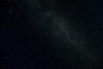 Starry sky and Summer meadow with trees. Summer night. The milky way over the field.