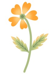 Fototapeta na wymiar Blooming orange flower element isolated on white.Floral decoration. Flat design. Botanical illustration.