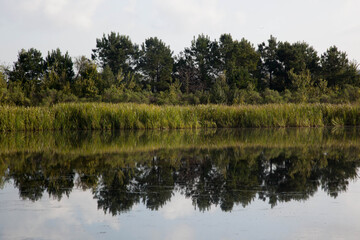 Fototapeta na wymiar Still lake with reflections