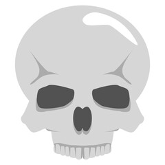 Vector illustration, isolated human skull on a white background. Simple flat style. Logo concept.