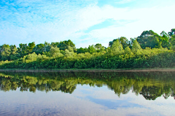 Obraz na płótnie Canvas Landscape with river in summer. Trees are reflected in water of river