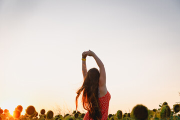 a young beautiful girl in a red dress with white polka dots walks in a sunflower field. sunset in...