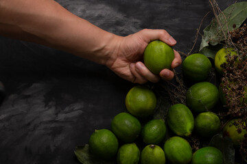 man's hand grabbing a lemon. several background organic lemons and eucalyptus leaves on a black background and rustic branches with berries