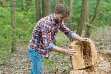 man prepare tree stump for cutting, forest nature