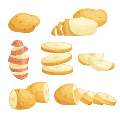 Cartoon potatoes set. Whole, sliced, peeled. Flying slices. Farm fresh vegetables. Best for market, packages. Vector illustrations collection. Isolated on white background.