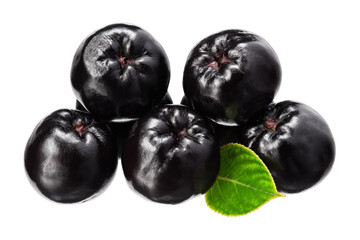 Chokeberry with green leaves isolated on white background. Clipping path and full depth of field