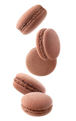 Isolated macaroons. Five chocolate macaroons falling down over white background