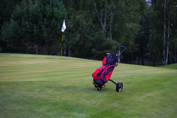 Obraz premium Playing golf. Golf course and Bag