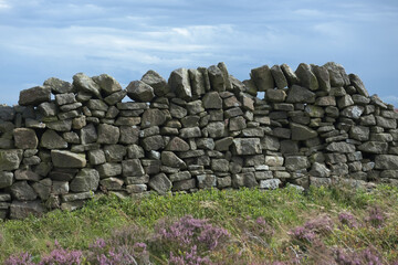 2 - Soft sunlight highlights irregular stones in this dry wall