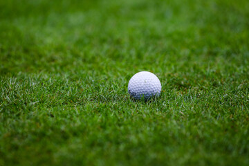 Playing golf. Golf course and Bag