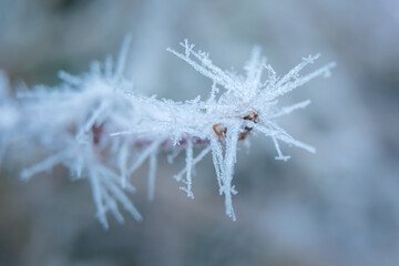 Frozen nature background. Blue background. High resolution photo. 