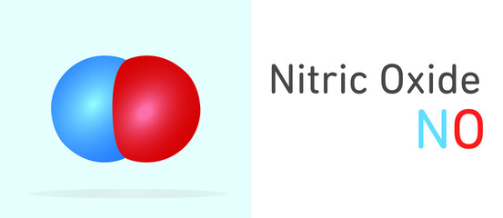 Nitric Oxide (NO) gas molecule. Space filling model. Structural Chemical Formula and Molecule Model. Chemistry Education