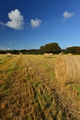 Summer harvest, Jersey, U.K. Hay bales in the landscape.