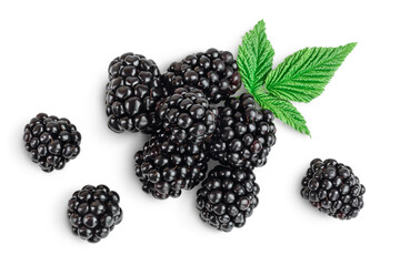 blackberry isolated on a white background closeup. Clipping path and full depth of field. Top view. Flat lay