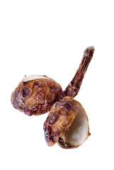 super macro shot food background of Indonesian andaliman wild pepper berry shell isolated very close on white