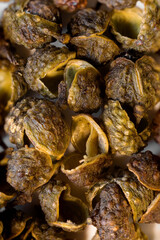 super macro shot food background. several green Sichuan peppers  very close