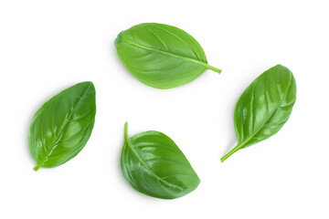Fresh basil leaf isolated on white background with clipping path and full depth of field. Top view....