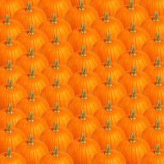 Halloween pumpkin on a blue background. Halloween holiday concept