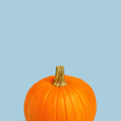 Halloween pumpkin on a blue background. Halloween holiday concept
