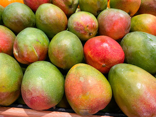 Ripe colorful mangos in a bin