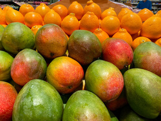 Ripe colorful mangos in a bin