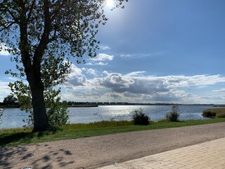 lake and trees