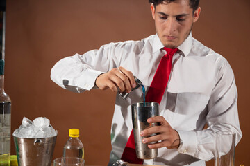 Barman preparing drink with shaker