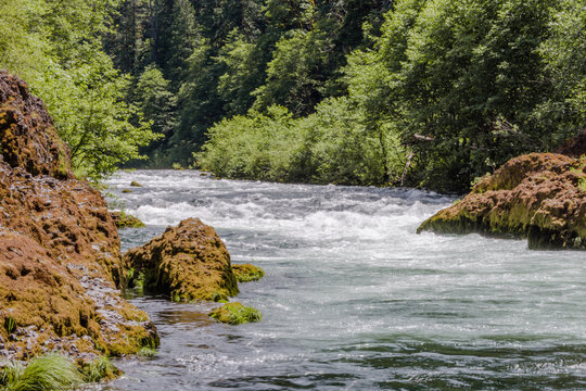 Clackamas River in MT Hood National Forest.