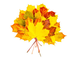 Bouquet of yellow leaves isolated on white background