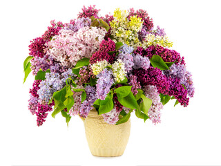 Bouquet of lilacs in a vase isolated on white background
