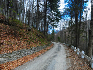 A forest road inside Capatanii Mountains, Carpathians, Romania. Autumn season.