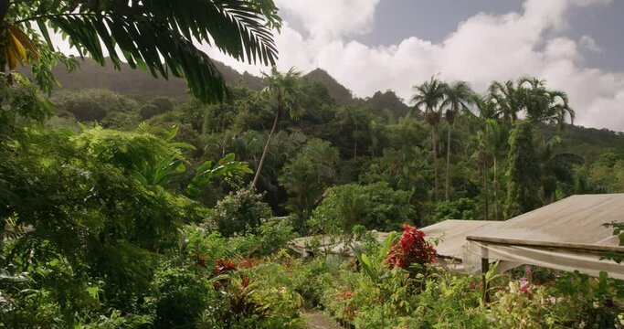 St. Rose Nursery Tropical Garden, Grenada