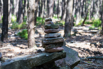 beatiful landscape of the pfälzer wald wood hills, rheinland-pfalz, germany