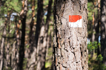 hiking sign in the beatiful landscape of the pfälzer wald wood hills, rheinland-pfalz, germany