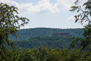 Fototapeta na wymiar beatiful landscape of the pfälzer wald wood hills, rheinland-pfalz, germany