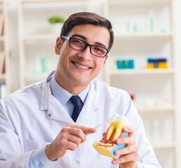 Young dentist working in the dentistry hospital