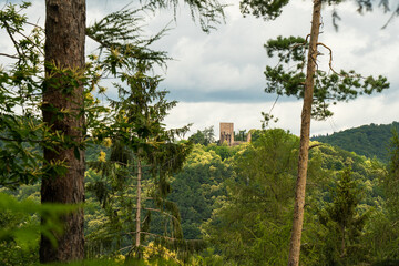 beautiful landscape in the Southwest Palatinate (südwestpfalz) near fischbach