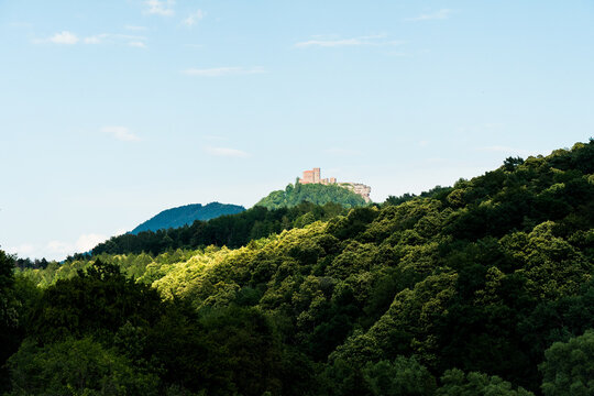 view on the castle ruin of trifels in the southwest palatine forest (pf&auml;lzer wald)