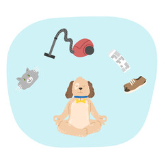 Dog trying to concentrate and not to think about vacuum cleaner, cat and slippers and meditating