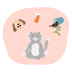 Cat trying to concentrate and not to think about dog, spray and flower in pot and meditating