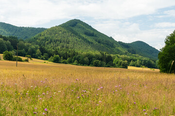 Fototapeta na wymiar beautiful landscape in the Southwest Palatinate (südwestpfalz) near fischbach