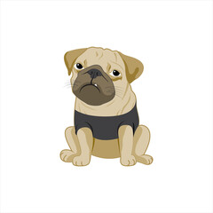 Small, wrinkled, domestic Pug dog. Vector drawing