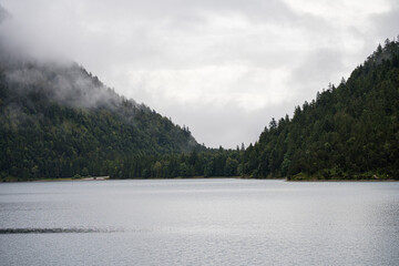 trees and mountain peaks in the fog at the beautiful plan lake, austria